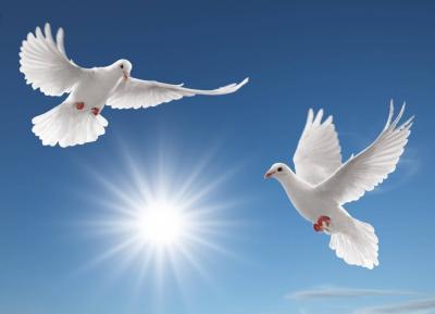 Common Habits That Can Destroy Your Sense of Peace of Mind... Discover Them