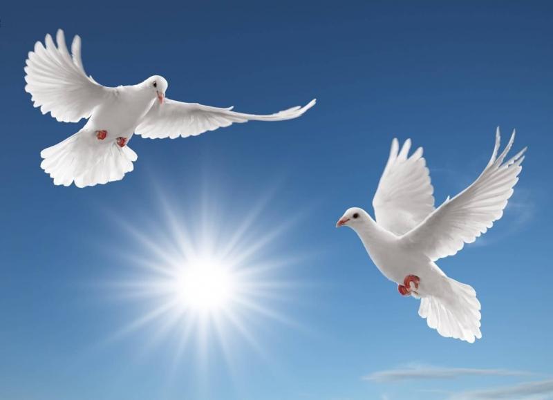 Common Habits That Can Destroy Your Sense of Peace of Mind... Discover Them