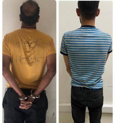 Brutal Crime in Habou - Information Branch Reveals Details