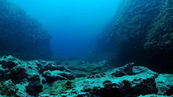 Unprecedented Discovery Will Change Our Understanding of Marine Life