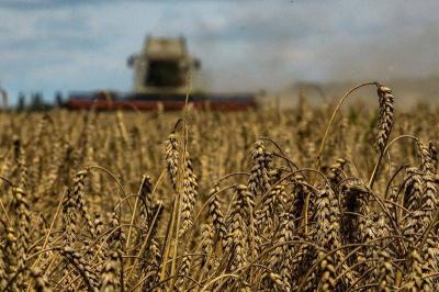 Ukraine Opposes Extension of European Restrictions on Its Agricultural Exports