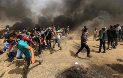 Immediate Halt of Operations by "World Central Kitchen" After 7 Staff Members Killed in Gaza