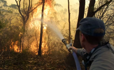 Climate Change is Burning Forests... and Australia is the Most Affected