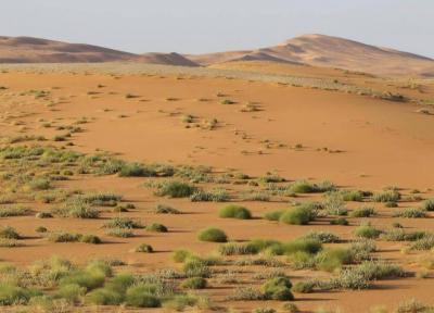 Inclusion of "Uruq Bani Ma'arid" Reserve on the World Heritage List