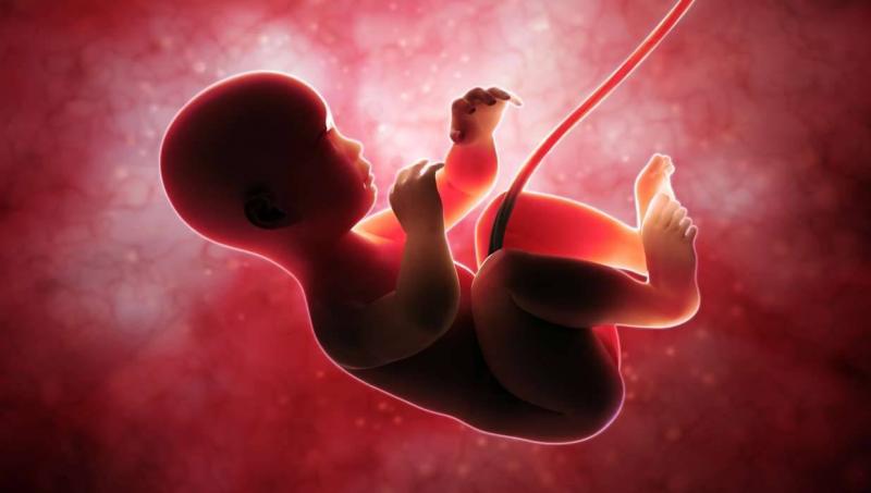 Mummified Fetus Found in Mother’s Womb After Over 40 Years