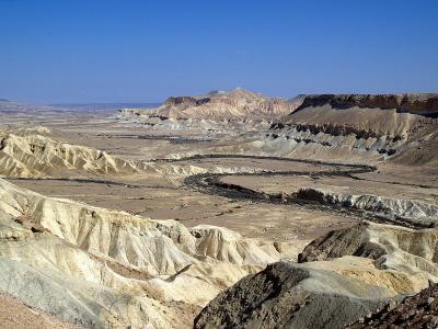 The Negev Desert.. and Sisi's Signal About Palestinian Displacement to It