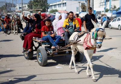 Gaza... Is There Life Under the Rubble?