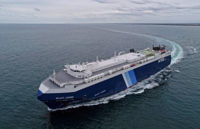 How the Houthis Seized the Israeli Ship in the Red Sea (Video)
