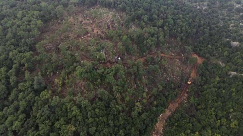 Environmental Massacre in Akkar Area