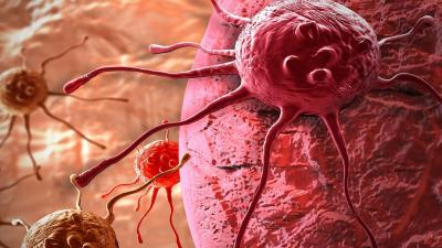 Egypt Enters Guinness World Records for Cancer Screening