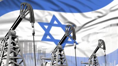 Why is it unlikely that calls for an oil embargo against Israel are "feasible"?