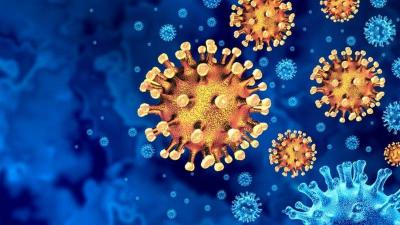 "World Health Organization" Warns of a New Highly Infectious Variant Spreading Rapidly