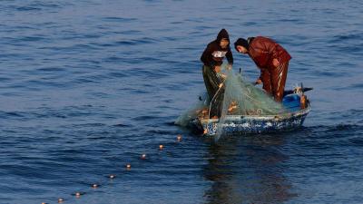 Gazan Fishermen Brave Shelling to Feed Their Families from the Sea's Scraps
