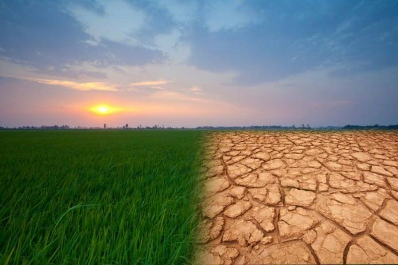 Food and Agriculture as Causes of Climate Change