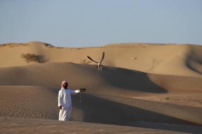 "Al Marzoom" Reserve Welcomes Falconers and Traditional Hunting Enthusiasts