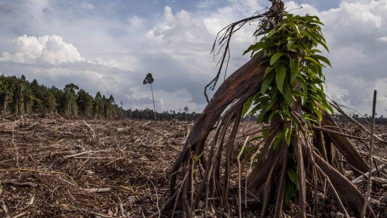 Does Climate Change Affect Health?
