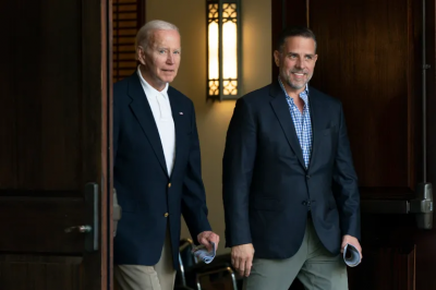 Hunter Biden: Republicans are Trying to Destroy His Father's Presidency