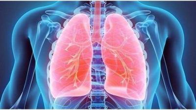 Success of the First "Liquid Breathing" Experiment in Russia