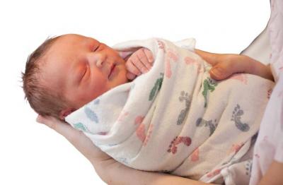 Decline in Fertility Rates: The World Divided Between "Baby Boom" and "Baby Bust"