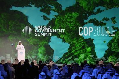 # What to Expect at the United Nations Climate Conference