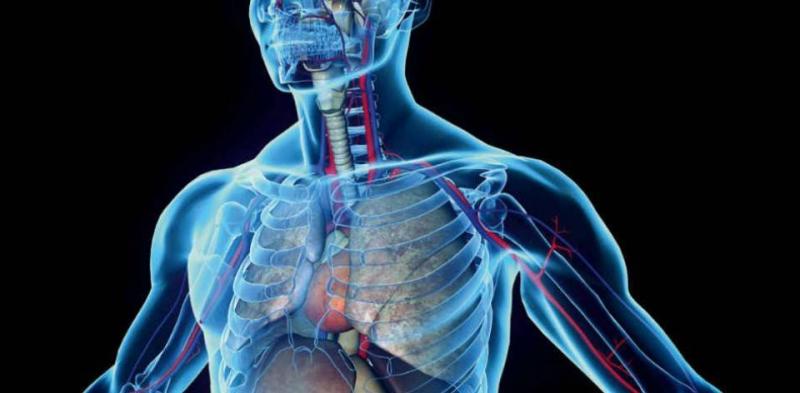 How Can We Predict Future Diseases?
