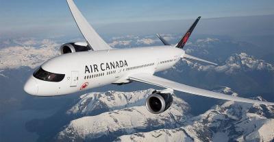 Flight Cancelled After Flight Attendant's Outburst
