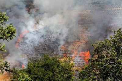 Israeli Airstrikes Target Southern Lebanon