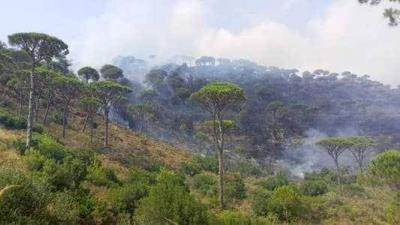 Extinguishing Two Major Fires Affecting Vast Forested Areas