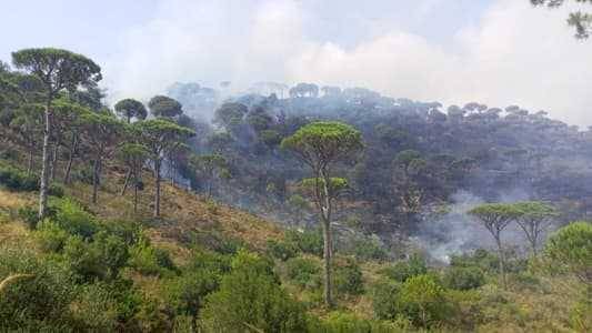 Extinguishing Two Major Fires Affecting Vast Forested Areas