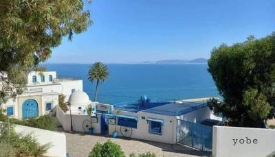 # Advanced Global Ranking for Sidi Bou Said, Tunisia: A Captivating Charm in Nature and Architecture