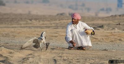 # The Journey to Capture the Most Expensive Birds in the World: A Trip to Diyala