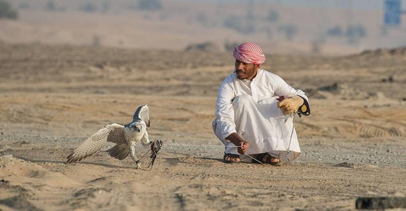 # The Journey to Capture the Most Expensive Birds in the World: A Trip to Diyala