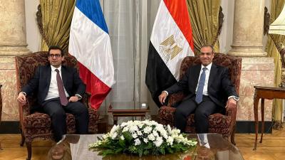 Egypt and France: The Importance of a Ceasefire in Gaza