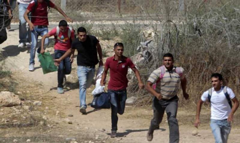 Over 22,000 Syrians Attempted Illegal Entry in One Year