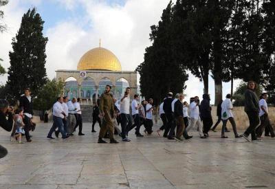 Israel Uses Gas Bombs on Worshippers at Al-Aqsa and Arrests 8 People