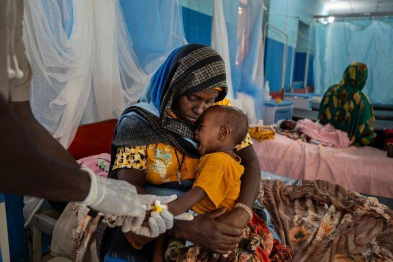 ## Hunger Drives Darfur Residents to Eat Locusts