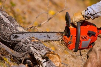 HUSBAND KILLS WIFE AND BURIED HER IN GARDEN WITH A CHAINSAW