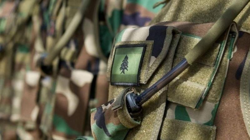 Lebanon: Arrest of Wanted Individuals for Theft and Robbery