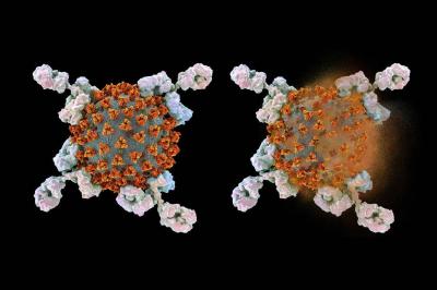 Unusual and Rare Cancers Emerged After COVID-19