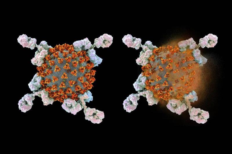 Unusual and Rare Cancers Emerged After COVID-19