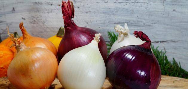 Amazing Benefits of Onion... Get to Know Them