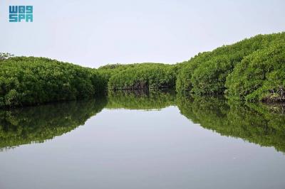 Highlights of Tourist Attractions in Farasan Islands for the 20th Harid Fishing Festival