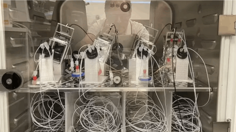 Supercomputer from Human Brain Cells!