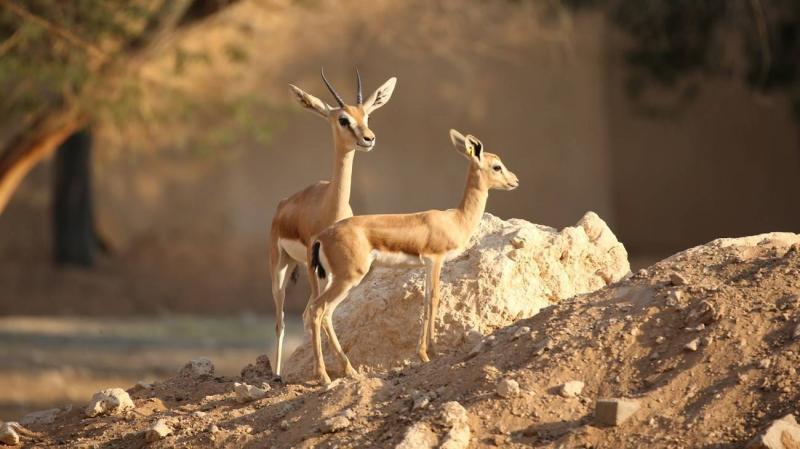 Inclusion of Nine Important Global Biodiversity Sites in the UAE