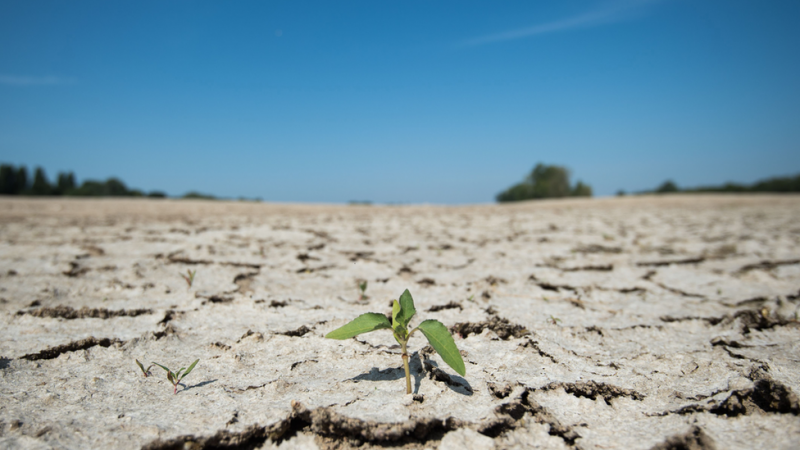 Title: 2024... The Hottest Year Ever