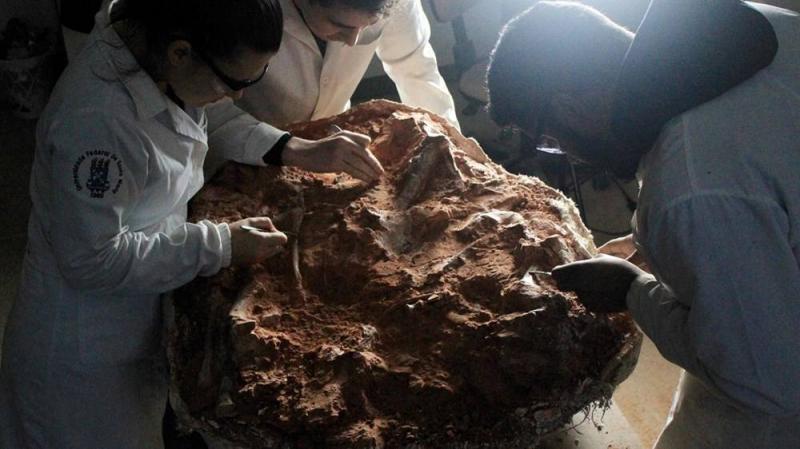 In Brazil... A Dinosaur Fossil Over 200 Million Years Old