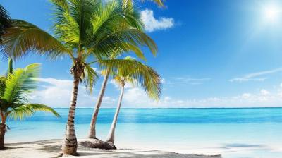 Avoiding Booking Scams During Summer Vacation