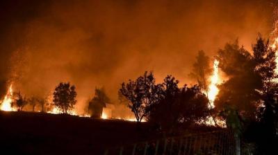 Strong Winds Fuel Forest Fire Near Athens