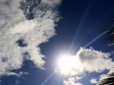 Temperature Approaching 39 Degrees... What Will the Weather Be in the Coming Days?