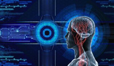 Researchers Develop Robot Controlled by Real Human Brain Cells